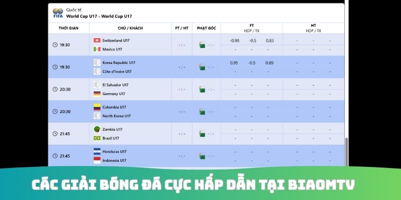 Các giải bóng đá cực hấp dẫn tại Biaomtv 