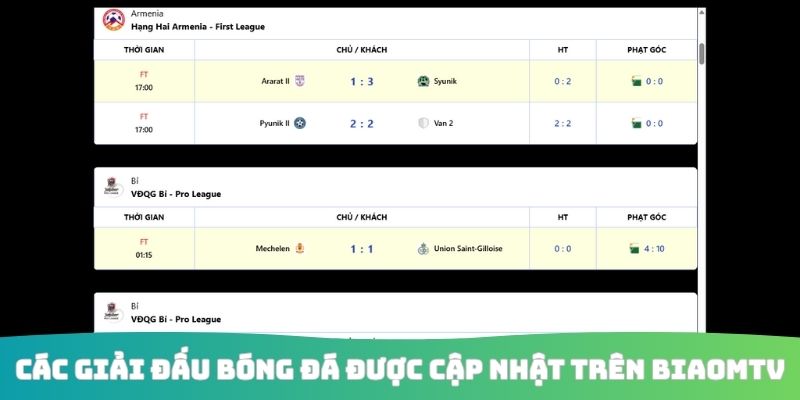 Các giải đấu bóng đá được cập nhật trên Biaomtv