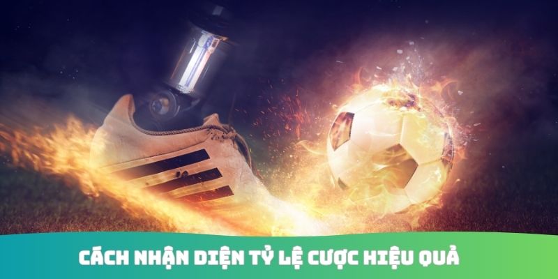 Cách nhận diện tỷ lệ cược hiệu quả