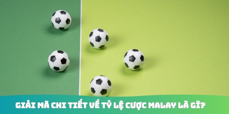 Giải mã chi tiết về tỷ lệ cược Malay là gì?