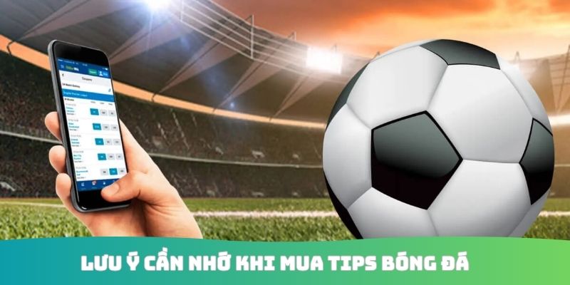 Lưu ý cần nhớ khi mua tip bóng đá