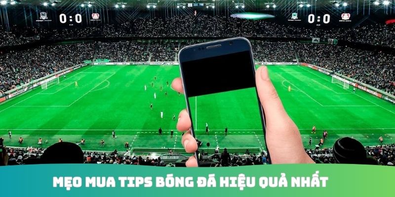 Mẹo mua tip bóng đá hiệu quả nhất