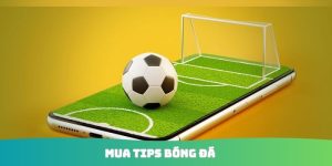 Mua tip bóng đá