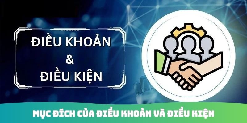 Mục đích của điều khoản và điều kiện