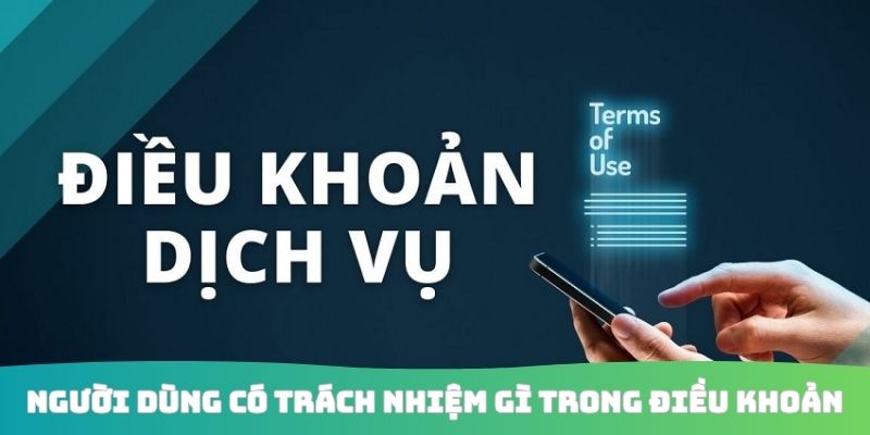 Người dùng có trách nhiệm gì trong điều khoản