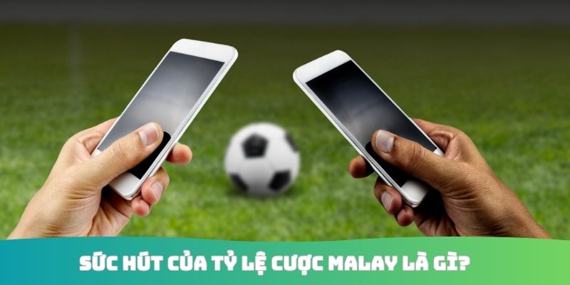 Sức hút của tỷ lệ cược Malay là gì?