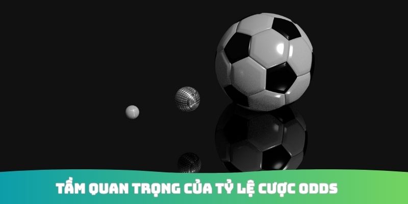 Tầm quan trọng của tỷ lệ cược odds