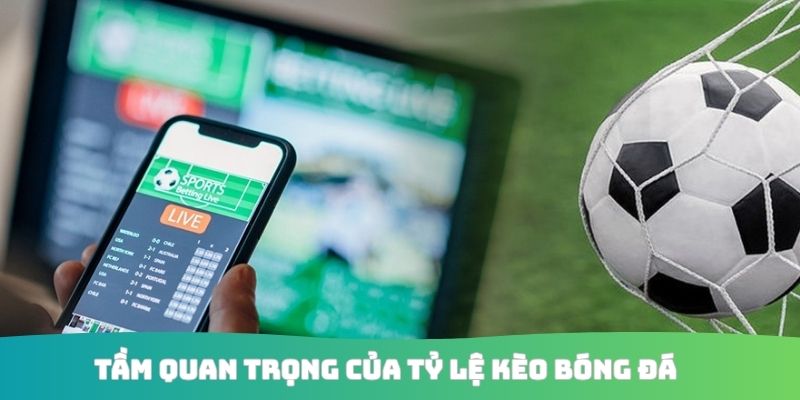 Tầm quan trọng của tỷ lệ kèo bóng đá