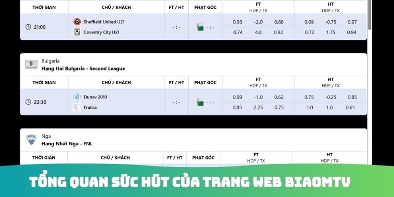 Tổng quan sức hút của trang web Biaomtv 